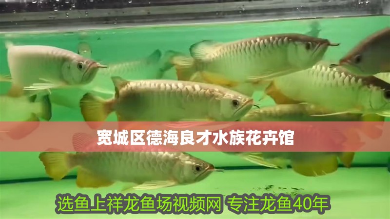 寬城區德海良才水族花卉館