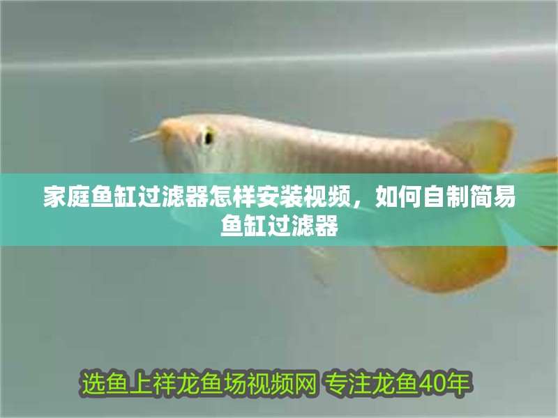 家庭魚缸過濾器怎樣安裝視頻，如何自制簡易魚缸過濾器
