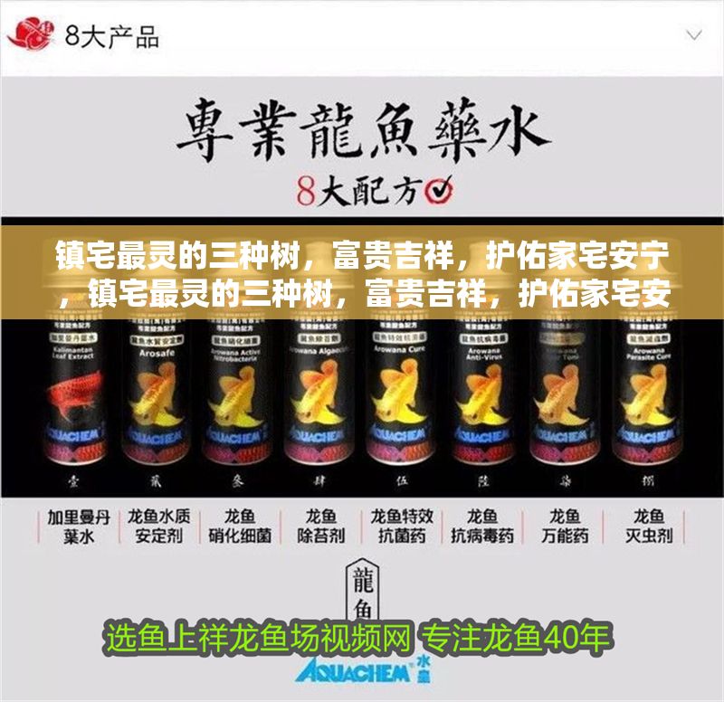 鎮宅最靈的三種樹，富貴吉祥，護佑家宅安寧，鎮宅最靈的三種樹，富貴吉祥，護佑家宅安寧