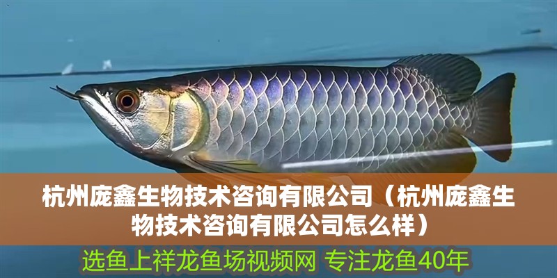 杭州龐鑫生物技術咨詢有限公司（杭州龐鑫生物技術咨詢有限公司怎么樣）