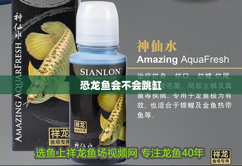 恐龍魚會不會跳缸