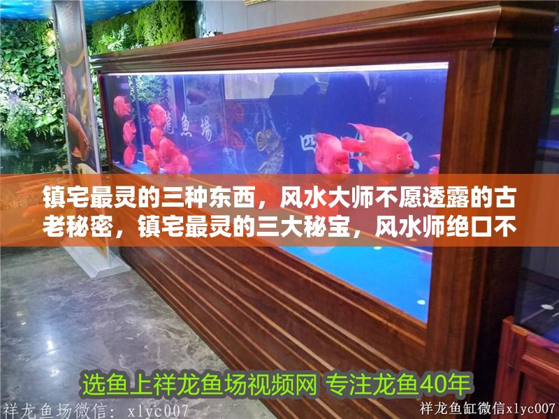 鎮(zhèn)宅最靈的三種東西，風(fēng)水大師不愿透露的古老秘密，鎮(zhèn)宅最靈的三大秘寶，風(fēng)水師絕口不提的千年禁忌