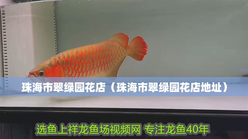 珠海市翠綠園花店（珠海市翠綠園花店地址）