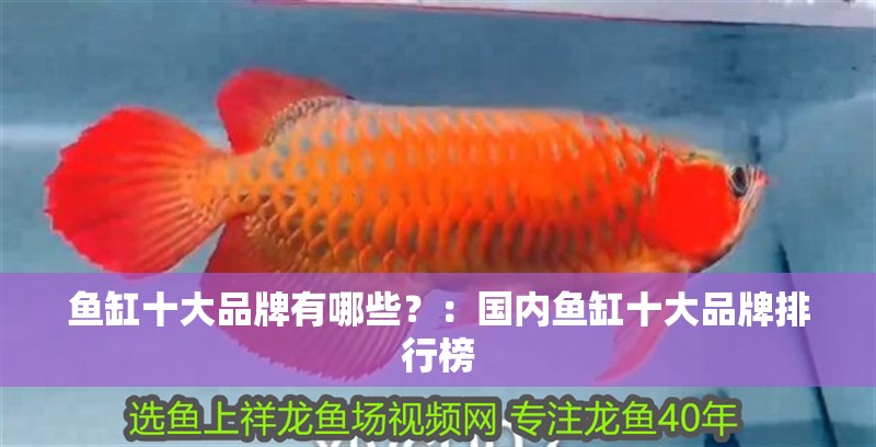 魚缸十大品牌有哪些？：國內魚缸十大品牌排行榜
