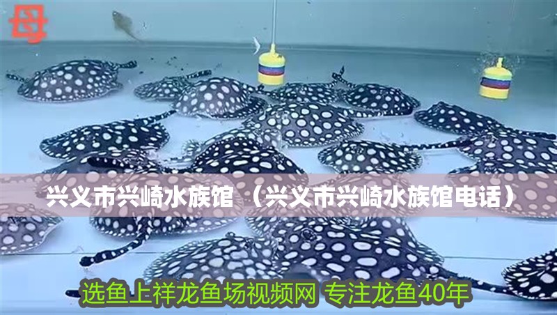 興義市興崎水族館 （興義市興崎水族館電話）