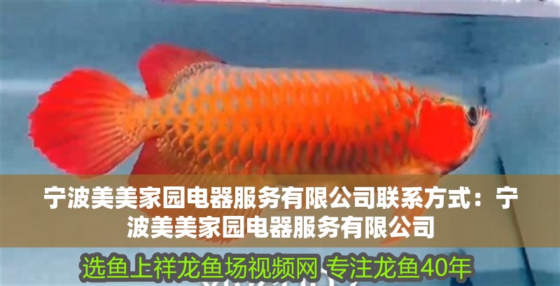 寧波美美家園電器服務有限公司聯系方式：寧波美美家園電器服務有限公司