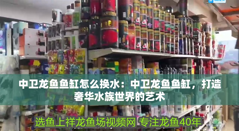 中衛龍魚魚缸怎么換水：中衛龍魚魚缸，打造奢華水族世界的藝術