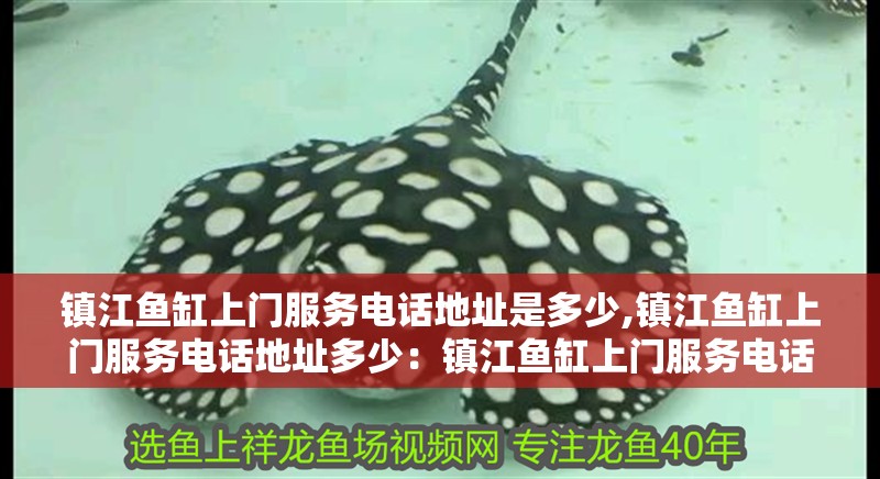 鎮江魚缸上門服務電話地址是多少,鎮江魚缸上門服務電話地址多少：鎮江魚缸上門服務電話地址