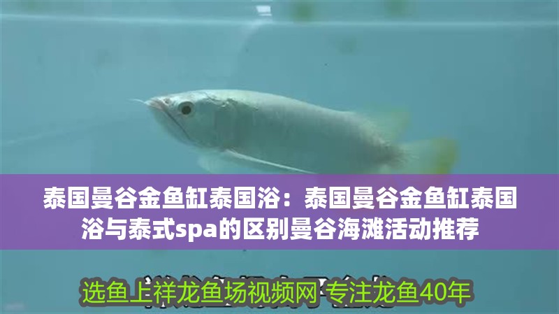 泰國曼谷金魚缸泰國浴：泰國曼谷金魚缸泰國浴與泰式spa的區(qū)別曼谷海灘活動推薦