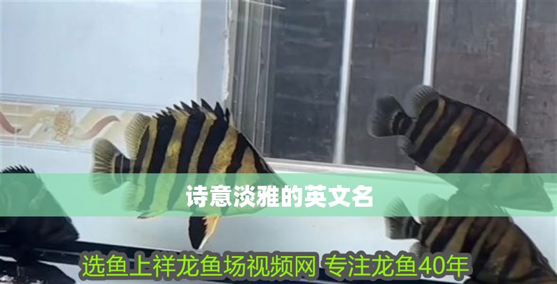 詩意淡雅的英文名