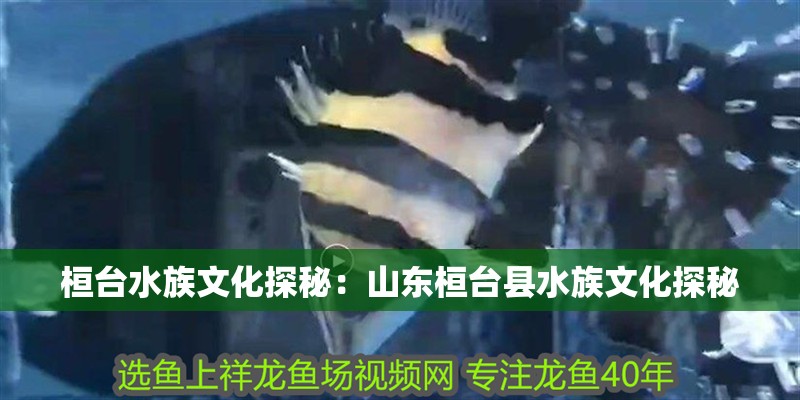 桓臺水族文化探秘：山東桓臺縣水族文化探秘