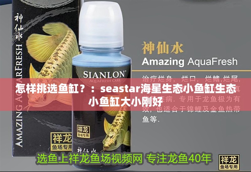 怎樣挑選魚缸？：seastar海星生態(tài)小魚缸生態(tài)小魚缸大小剛好