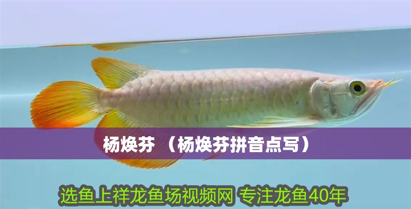 楊煥芬 （楊煥芬拼音點寫）