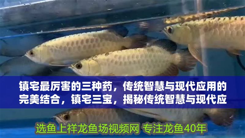 鎮宅最厲害的三種藥，傳統智慧與現代應用的完美結合，鎮宅三寶，揭秘傳統智慧與現代應用完美結合的三大靈藥