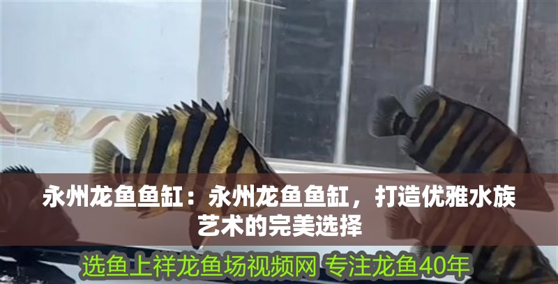 <strong><mark>永州</mark></strong>龍魚魚缸：<strong><mark>永州</mark></strong>龍魚魚缸，打造優雅水族藝術的完美選擇