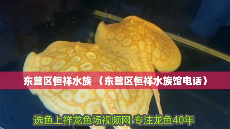 東營區恒祥水族 （東營區恒祥水族館電話）