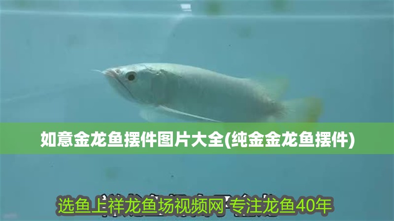 如意金龍魚擺件圖片大全(純金金龍魚擺件)