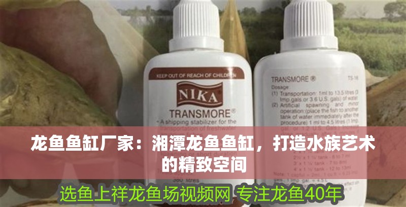 龍魚魚缸廠家：<strong><mark>湘潭</mark></strong>龍魚魚缸，打造水族藝術的精致空間