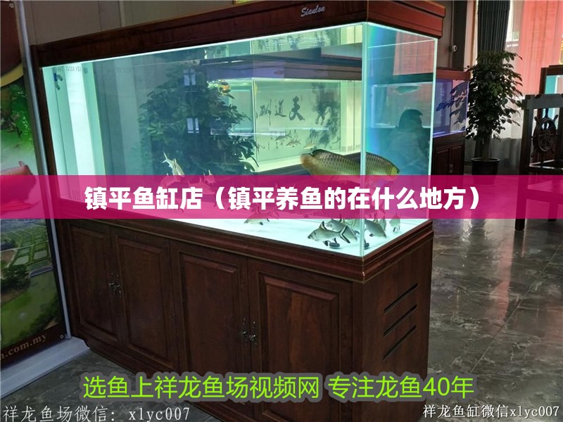 鎮平魚缸店（鎮平養魚的在什么地方）