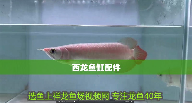 西龍魚缸配件