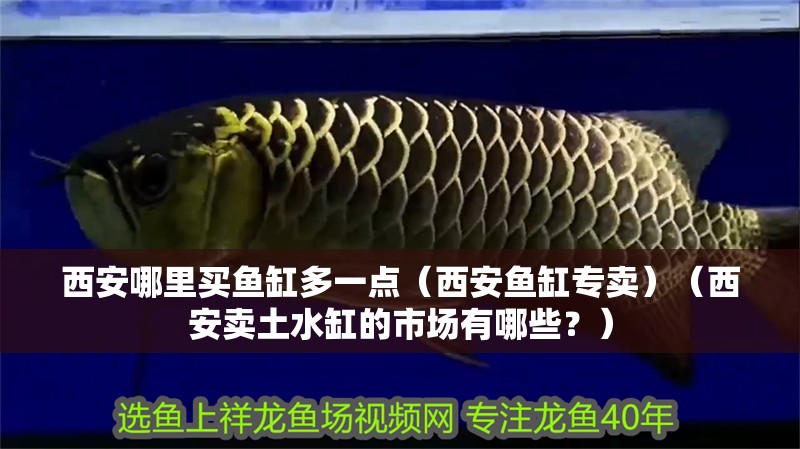 西安哪里買魚缸多一點（西安魚缸專賣）（西安賣土水缸的市場有哪些？）