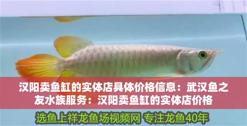 漢陽賣魚缸的實(shí)體店具體價格信息：武漢魚之友水族服務(wù)：漢陽賣魚缸的實(shí)體店價格