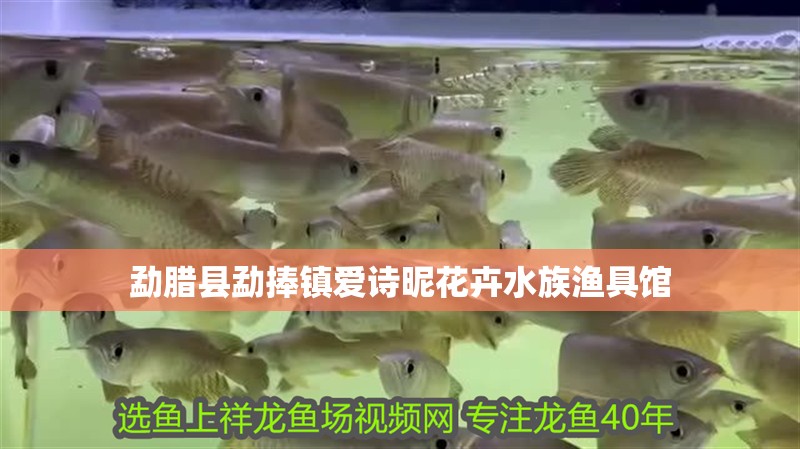 勐臘縣勐捧鎮(zhèn)愛詩昵花卉水族漁具館