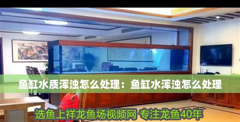魚缸水質(zhì)渾濁怎么處理：魚缸水渾濁怎么處理