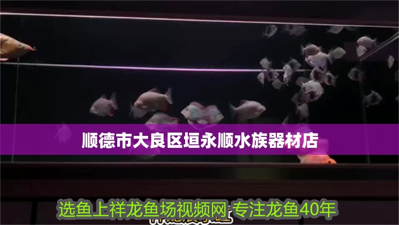 順德市大良區垣永順水族器材店