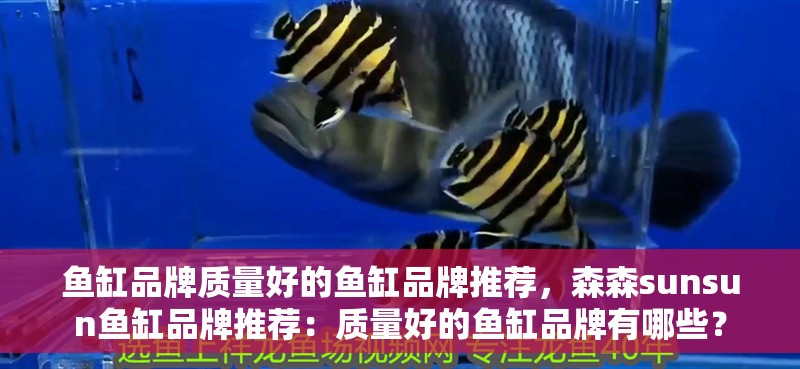 魚缸品牌質量好的魚缸品牌推薦，森森sunsun魚缸品牌推薦：質量好的魚缸品牌有哪些？