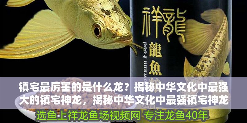 鎮宅最厲害的是什么龍？揭秘中華文化中最強大的鎮宅神龍，揭秘中華文化中最強鎮宅神龍，哪種龍能護佑家宅平安？