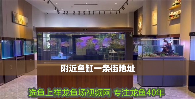 附近魚缸一條街地址