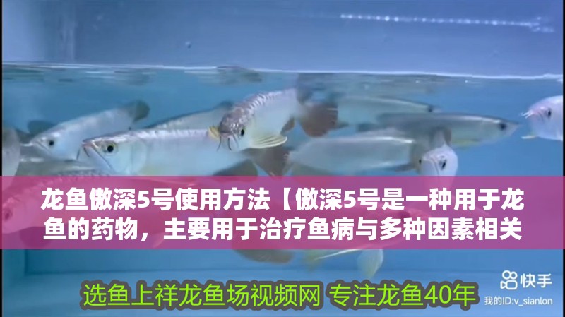 龍魚傲深5號使用方法【傲深5號是一種用于龍魚的藥物，主要用于治療魚病與多種因素相關】