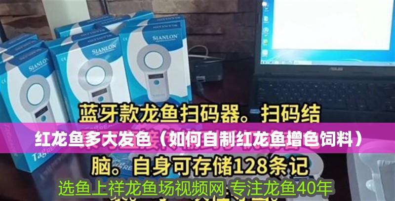 魚缸用增氧泵價格是多少:魚缸增氧機-xtrac增氧機-xtrac增氧機 紅龍魚多大發(fā)色(如何自制紅龍魚增色飼料) 龍魚百科 紅龍魚多大發(fā)色(如何自制紅龍魚增色飼料) 紅龍魚多大發(fā)色(如何自制紅龍魚增色飼料) 龍魚百科