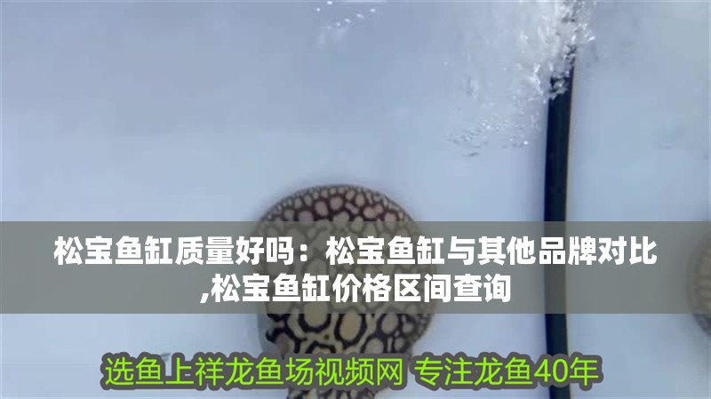 松寶魚缸質量好嗎：松寶魚缸與其他品牌對比,松寶魚缸價格區間查詢