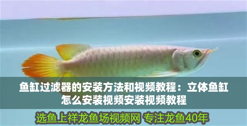 魚缸過濾器的安裝方法和視頻教程：立體魚缸怎么安裝視頻安裝視頻教程