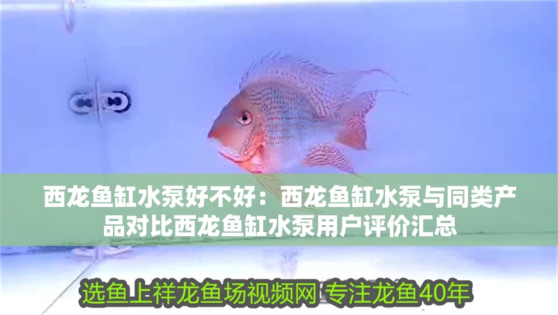 西龍魚(yú)缸水泵好不好：西龍魚(yú)缸水泵與同類產(chǎn)品對(duì)比西龍魚(yú)缸水泵用戶評(píng)價(jià)匯總