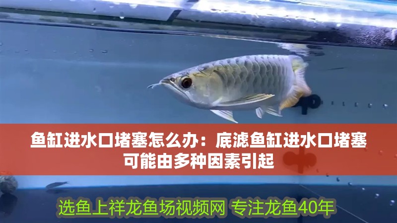 魚缸進水口堵塞怎么辦：底濾魚缸進水口堵塞可能由多種因素引起