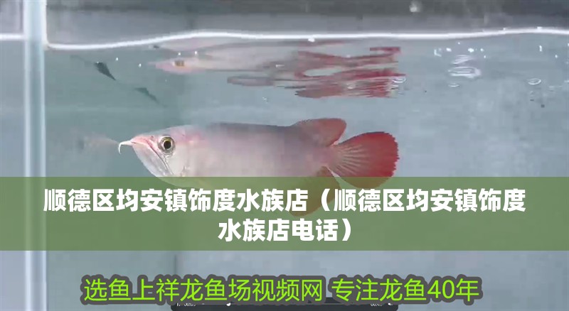 順德區均安鎮飾度水族店（順德區均安鎮飾度水族店電話）