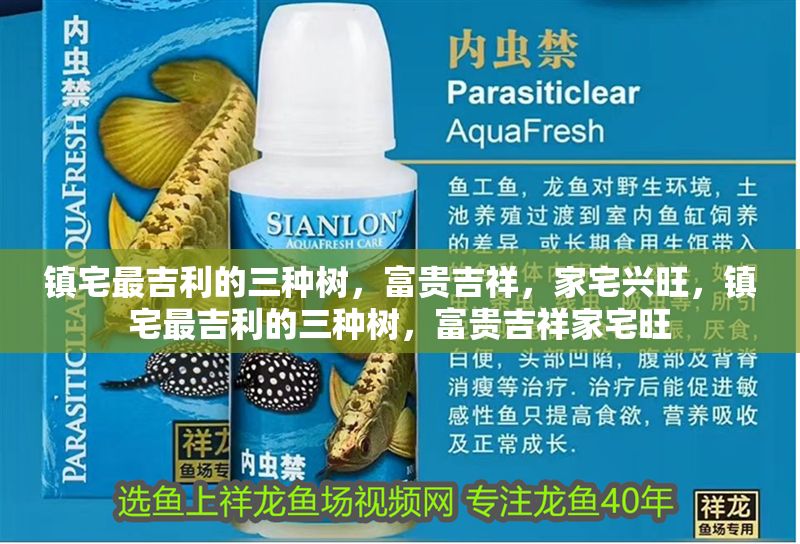 鎮(zhèn)宅最吉利的三種樹，富貴吉祥，家宅興旺，鎮(zhèn)宅最吉利的三種樹，富貴吉祥家宅旺