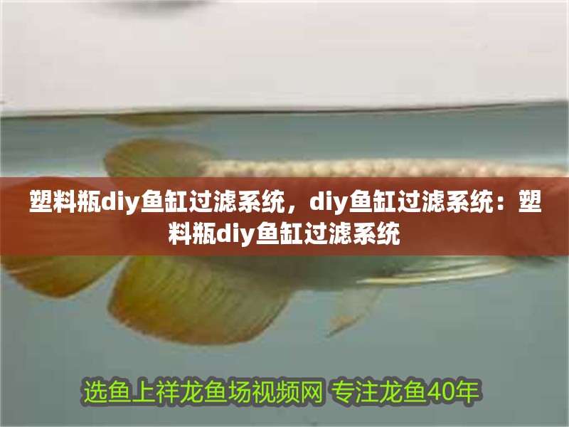 塑料瓶diy魚缸過濾系統(tǒng)，diy魚缸過濾系統(tǒng)：塑料瓶diy魚缸過濾系統(tǒng)