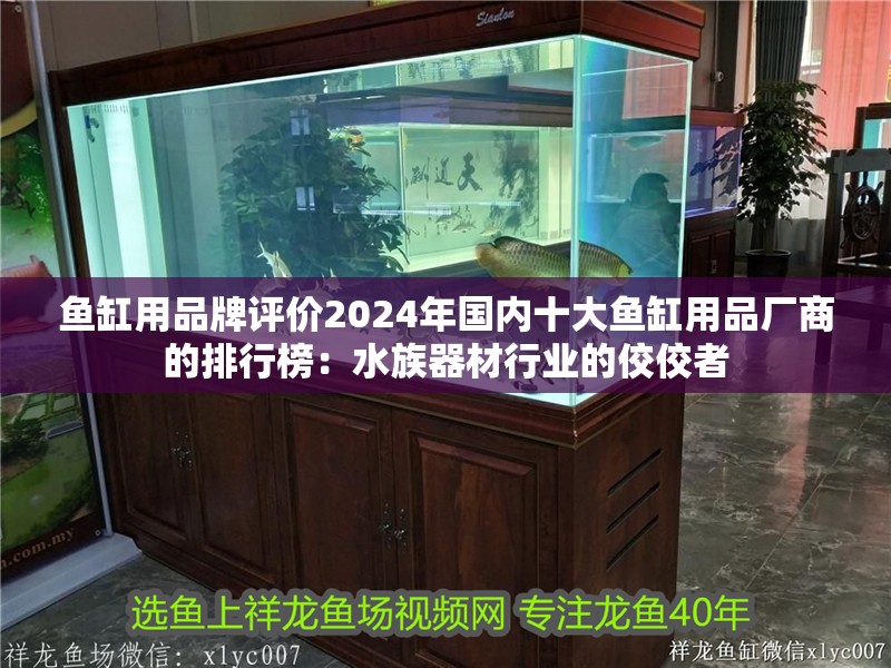 魚缸用品牌評價2024年國內十大魚缸用品廠商的排行榜：水族器材行業的佼佼者