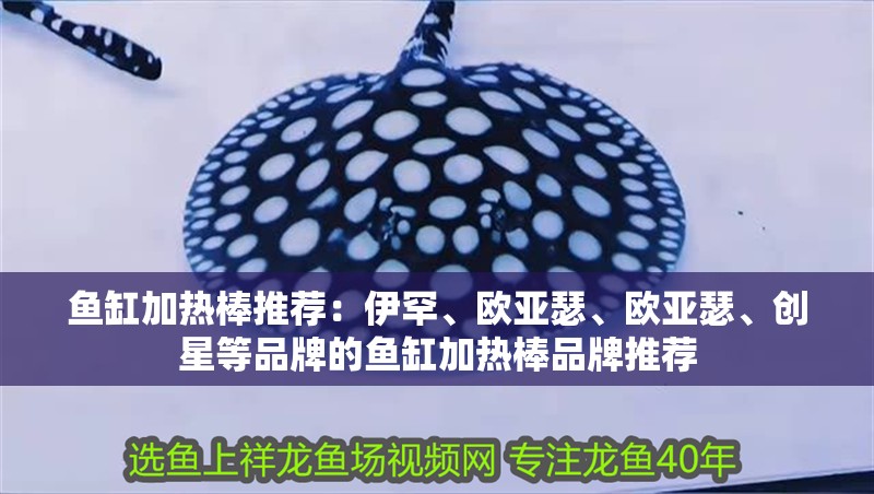 魚缸加熱棒推薦：伊罕、歐亞瑟、歐亞瑟、創(chuàng)星等品牌的魚缸加熱棒品牌推薦