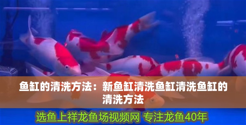 魚缸的清洗方法：新魚缸清洗魚缸清洗魚缸的清洗方法