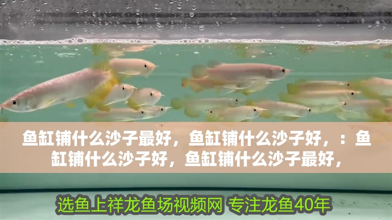 魚缸鋪什么沙子最好，魚缸鋪什么沙子好，：魚缸鋪什么沙子好，魚缸鋪什么沙子最好，