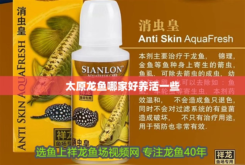 太原龍魚哪家好養活一些