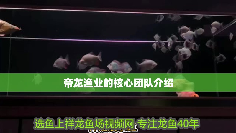 帝龍漁業的核心團隊介紹