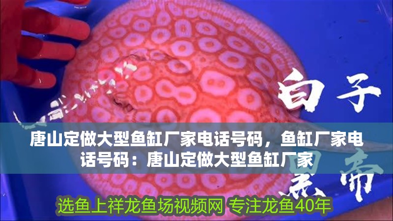 <strong><mark>唐山</mark></strong>定做大型魚缸廠家電話號碼，魚缸廠家電話號碼：<strong><mark>唐山</mark></strong>定做大型魚缸廠家