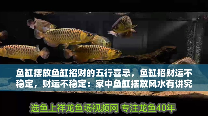 魚缸擺放魚缸招財的五行喜忌，魚缸招財運不穩定，財運不穩定：家中魚缸擺放風水有講究