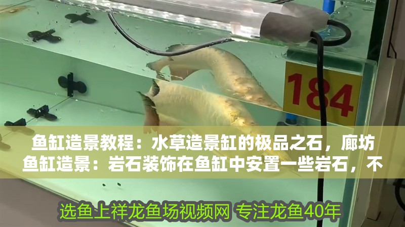 魚缸造景教程：水草造景缸的極品之石，廊坊魚缸造景：巖石裝飾在魚缸中安置一些巖石，不僅可以增加景觀的效果